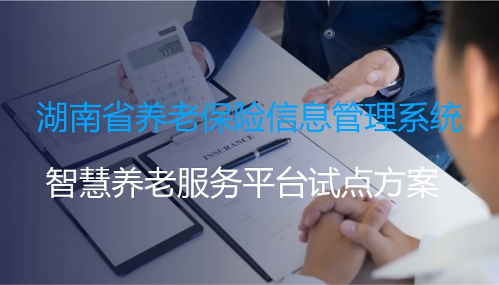 湖南省养老保险信息管理系统